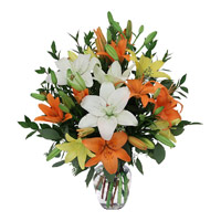 Send Mix Lily in Vase 12 Flowers in Mumbai on Friendship Day