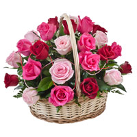 Rakhi Flower Delivery of Red Pink Peach Roses Basket 24 Flowers to Mumbai