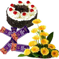 Order Arrangement of 12 yellow Gerbera with 5 Dairy Milk Silk(60 gm. each) and 1 kg Black Forest Cake to Mumbai. Friendship Day Flowers to Mumbai