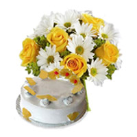 Best New Year Gifts to Mumbai to Deliver White Gerbera Yellow Roses 18 Flowers 1 Kg Pineapple Cake in Thane