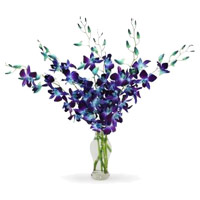 Deliver Christmas Flowers in Nagpur including Blue Orchid Vase 6 Stem Flowers to Mumbai