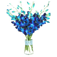 Send Friendship Day Flowers of Blue Orchid Vase 12 Flowers Delivery in Mumbai