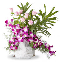 Send Rakhi in Mumbai with Orchids n Roses Arrangement 16 Flowers