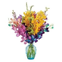 Online Rakhi Flower Delivery of Mixed Orchid Vase 15 Flowers in Mumbai with Stem