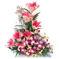 Deliver 6 Pink Lily 6 Orchids Flower Arrangement to Mumbai on Friendship Day