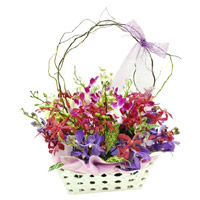 Send Rakhi with Flowers in Mumbai. Mixed Orchid with Stem in Basket of 12 Flowers to Mumbai