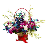Send Online Mixed Orchid Basket with 9 Stem of Rakhi Flowers to Mumbai