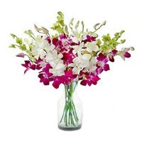 Order Online Rakhi Delivery in Mumbai with Purple White Orchid in Vase 10 Flowers to Mumbai