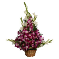 Online New Year Flowers to Mumbai.Send 8 Orchids and 10 Glads Arrangement Flowers in Mumbai