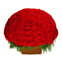 Order flowers for Bhaidooj take in Red Roses Basket 500 Flowers Online Delivery in Mumbai