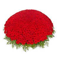 Online Rakhi Flower of Red Roses Basket 1000 Flowers to Mumbai