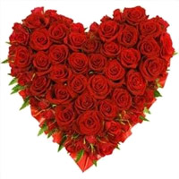 Send Heart Shaped Flowers in Mumbai : Valentine's Day Gifts in Mumbai