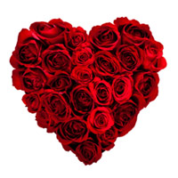 Place Order for Diwali Flowers in Mumbai consist of Red Roses Heart Arrangement 100 Flowers
