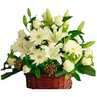 Christmas Flowers in Mumbai incorporate with White Lily Roses Gerbera Basket 20 Flowers in Mumbai