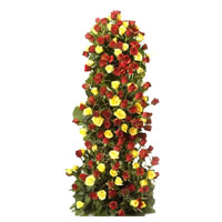 Send Rakhi Flowers Online to Mumbai. Aggrangement is made of Yellow Red Roses Tall Arrangement 100 flowers