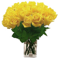 Flowers to Mumbai : Yellow Roses