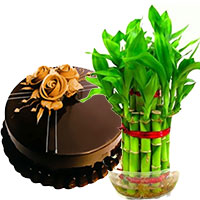 Send Gifts to Nagpur