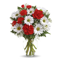 Send Rakhi Flowers to Mumbai. White Gerbera Red Carnation Vase 12 Flowers to Mumbai
