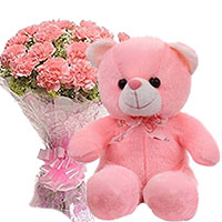 Order Online New Year Gifts to Ahmednagar including 12 Pink Carnation With Small Teddy.