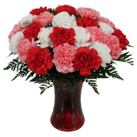 Best Diwali Flowers Delivery in Mumbai Red Pink White Carnation Vase 24 Flower