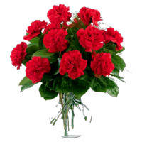 Deliver Red Carnation Vase 12 Diwali Flowers in Mumbai
