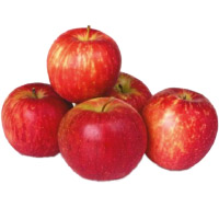 Send Diwali Gifts in Mumbai containing 1 Kg Fresh Apple