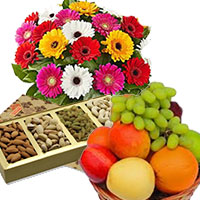 Purchase Christmas Gifts to Mumbai.  12 Mix Gerbera with 500 gm Mix Dry Fruits and 1 Kg Fresh Fruits Basket.
