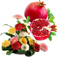 Shop for New Year Gifts to Mumbai take in Mixed Gerbera Basket of 15 Flowers with 1 Kg Fresh Promegranate.