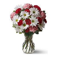 Online Flowers Delivery of Mix Gerbera Carnation in Vase 24 Flowers for Friends 