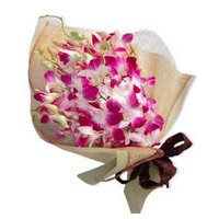 Deliver Diwali Flowers to Pune deliver Pink Orchid Bunch 12 Flowers Stem