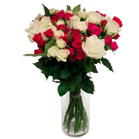 Place Order for Online Birthday Flowers to Mumbai comprising White Pink Roses Vase 24 Flowers