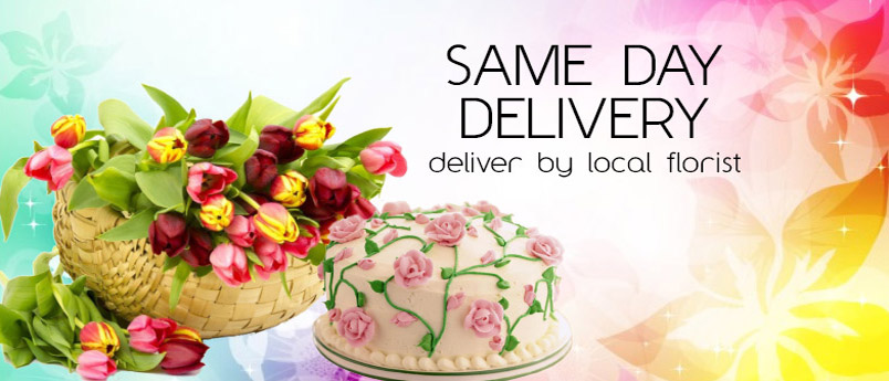 Same Day Delivery Gifts to Vashi